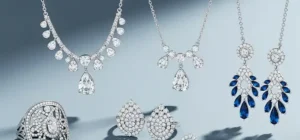 راهنمای خرید بدلیجات